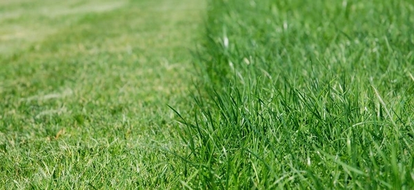 Tondre - HERRIBERRY Motoculture<br />Votre partenaire côté jardin !<br />7 agences à votre service en Nouvelle Aquitaine