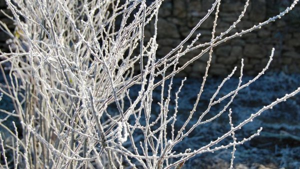 Soigner son jardin en hiver - HERRIBERRY Motoculture<br />Votre partenaire côté jardin !<br />7 agences à votre service en Nouvelle Aquitaine