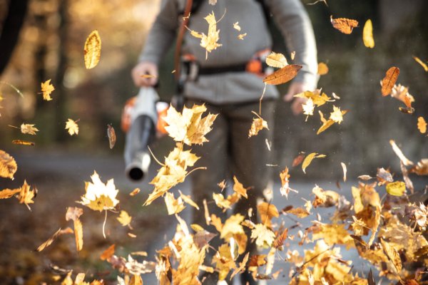 Nettoyer son jardin pour l'hiver - HERRIBERRY Motoculture<br />Votre partenaire côté jardin !<br />7 agences à votre service en Nouvelle Aquitaine