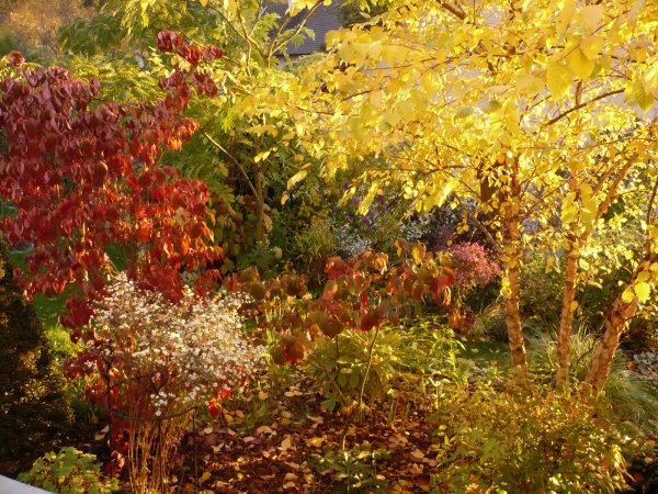 Entretenir son jardin en automne - HERRIBERRY Motoculture<br />Votre partenaire côté jardin !<br />7 agences à votre service en Nouvelle Aquitaine
